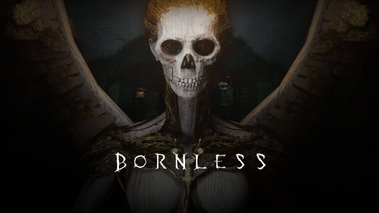 The Bornless key art