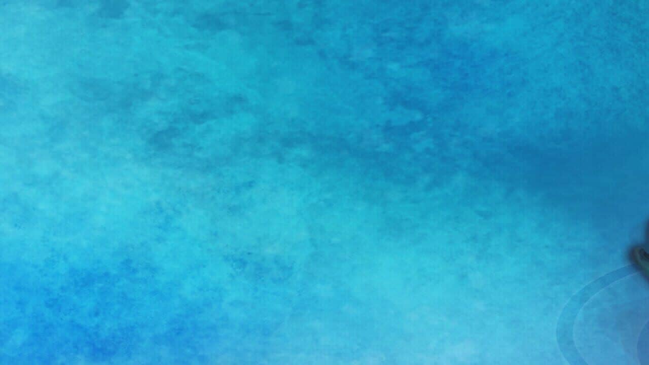 Fishing Echoes key art