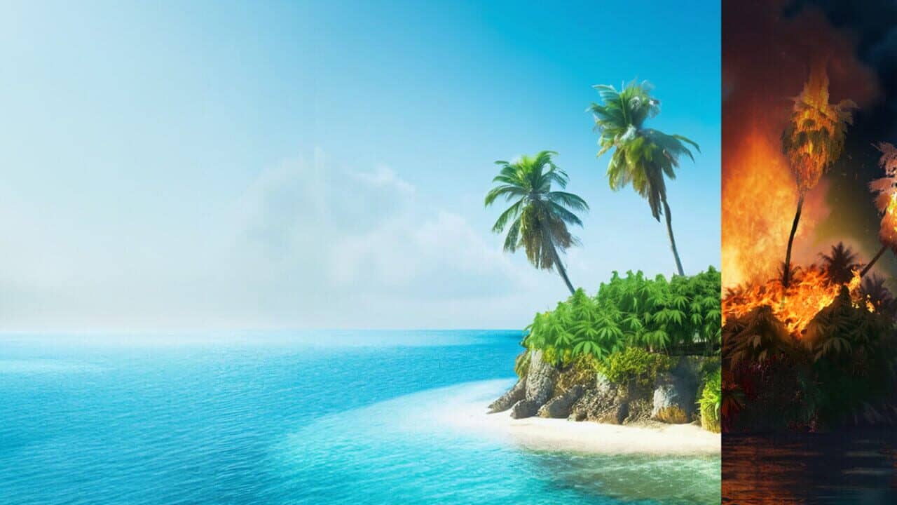Weed Shop 4: Highland key art