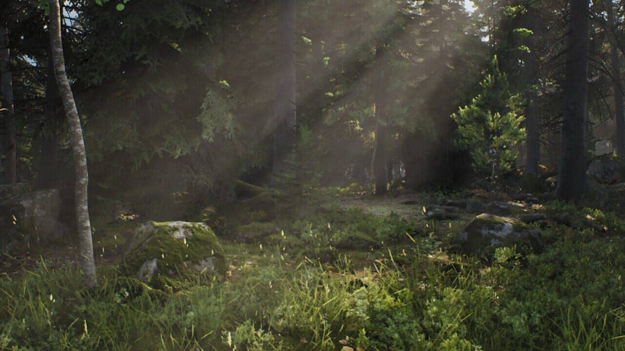 Mushroom Hunter Simulator key art