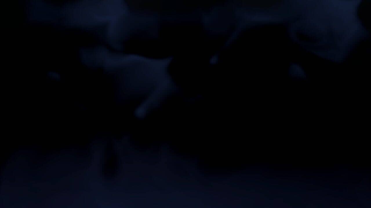 Cursed Words key art