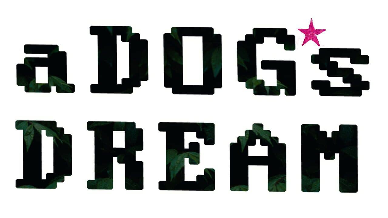A Dogs Dream key art