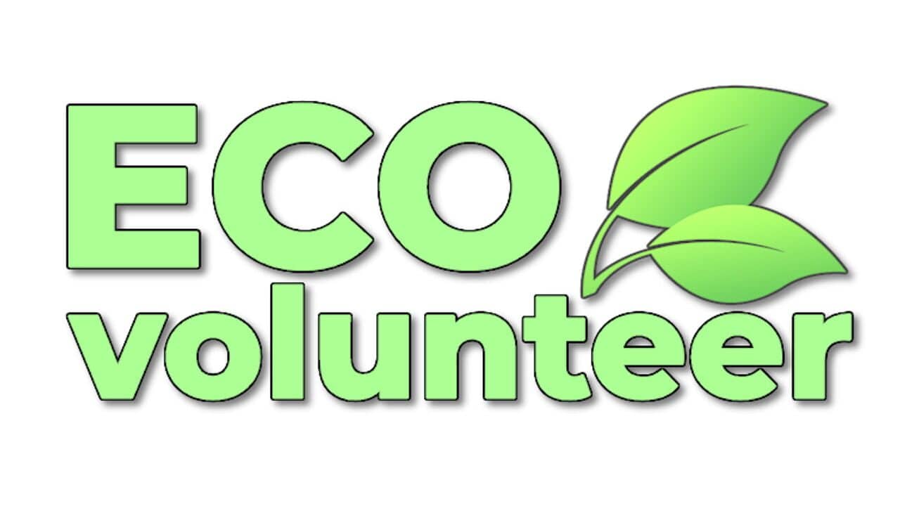Eco Volunteer key art