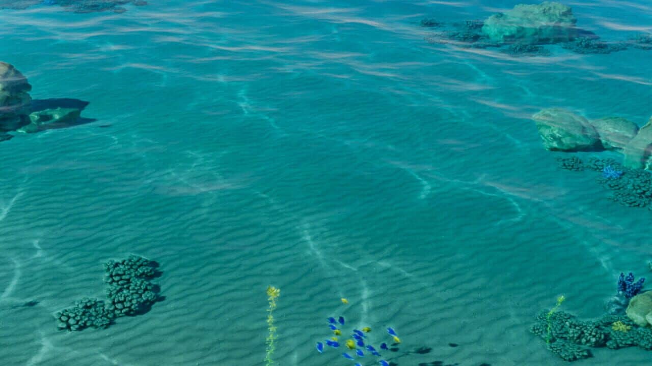 Oceanside Whispers key art