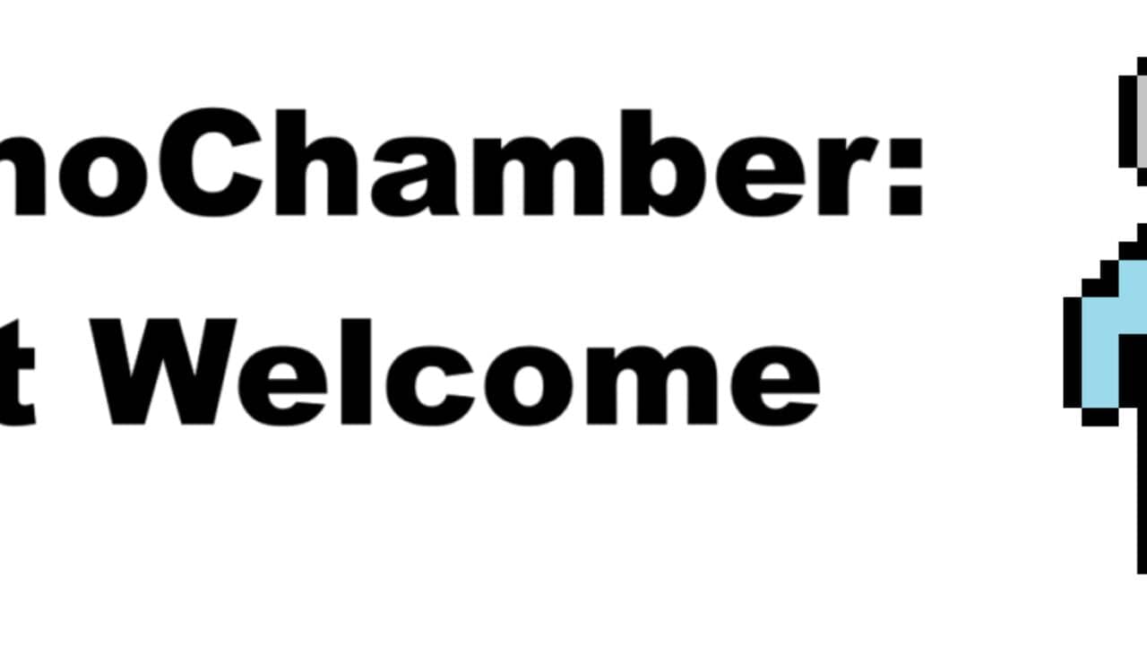 EchoChamber: Not Welcome key art