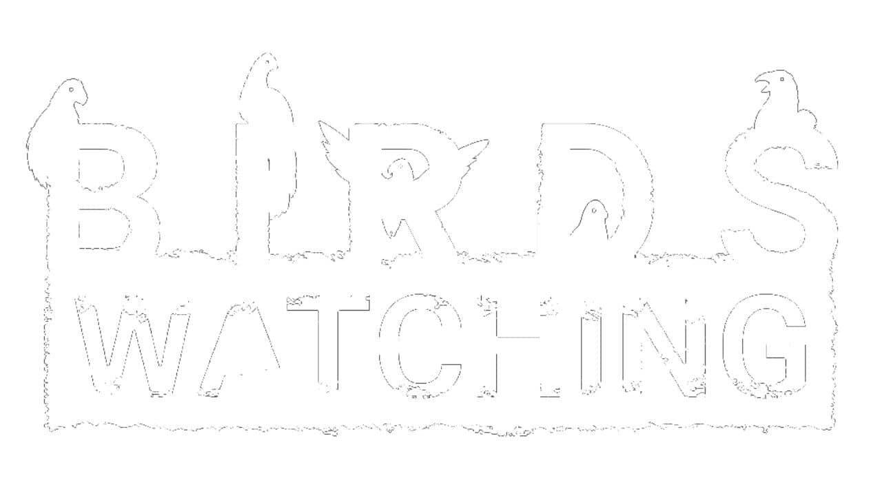 Birds Watching key art