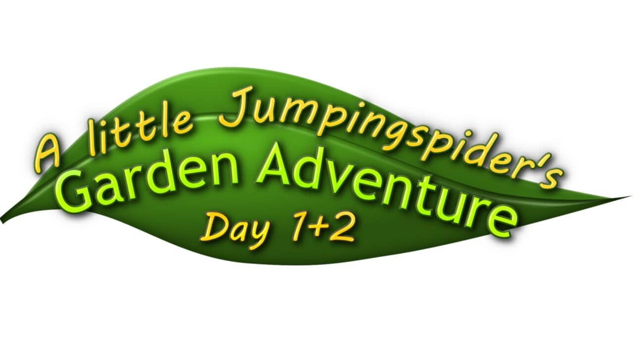 A little Jumpingspider's Garden Adventure (Day 1+2) key art