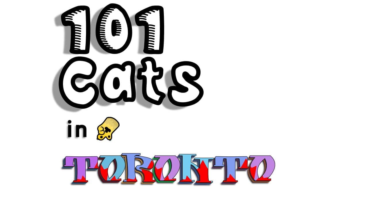101 Cats in Toronto key art