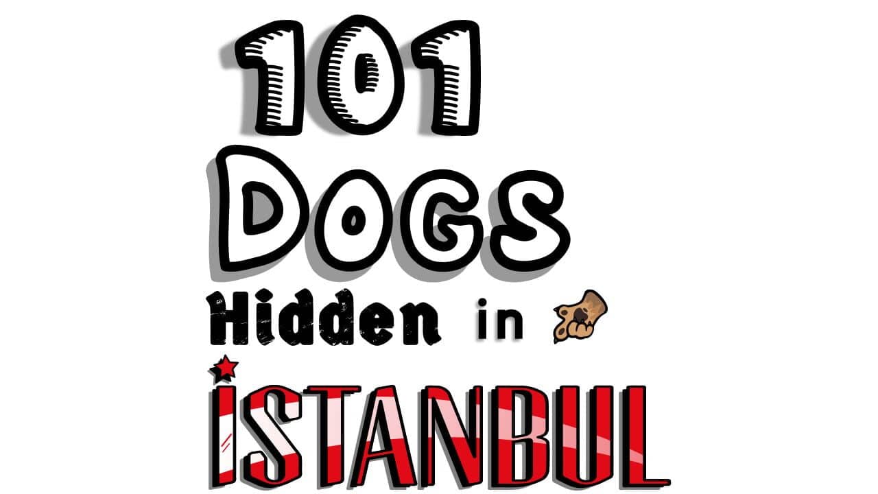 101 Dogs Hidden in Istanbul key art