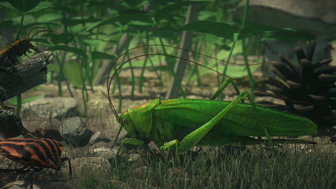 Insect Worlds key art