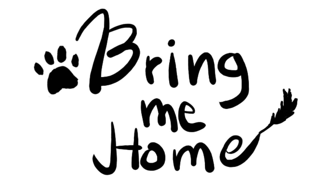 Bring Me Home key art